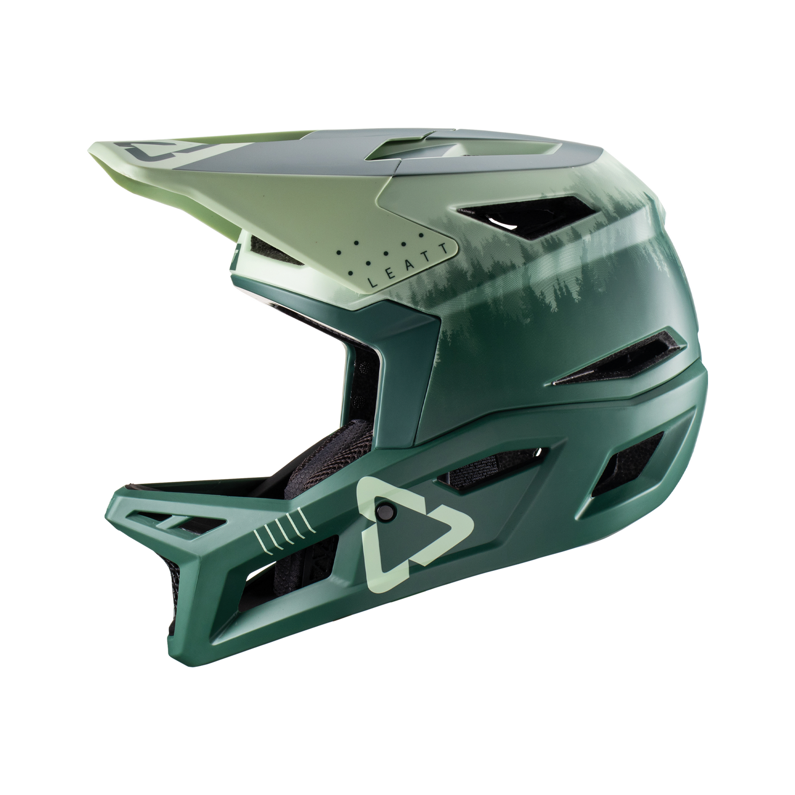 Helmet MTB Enduro 4.0 V22Ivy