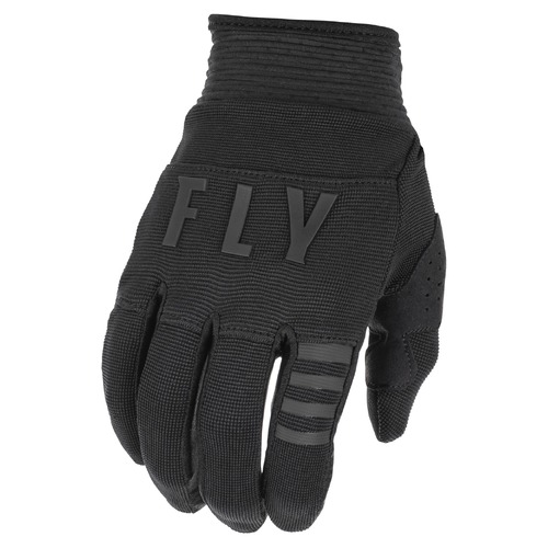 FLY Racing 2022 F-16 Gloves Black